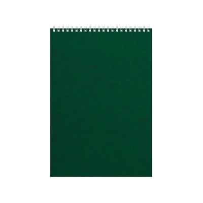 Бизнес - блокнот Альт А4 (198 х 285 мм) "Office" 60 л., зеленый