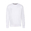 Свитшот без начеса LIGHTWEIGHT SET-IN SWEAT 240