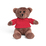 BEAR. Плюшевый мишка в футболке
